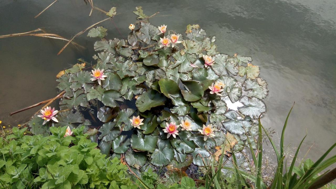 Chambre Coin Nature Fromelles エクステリア 写真