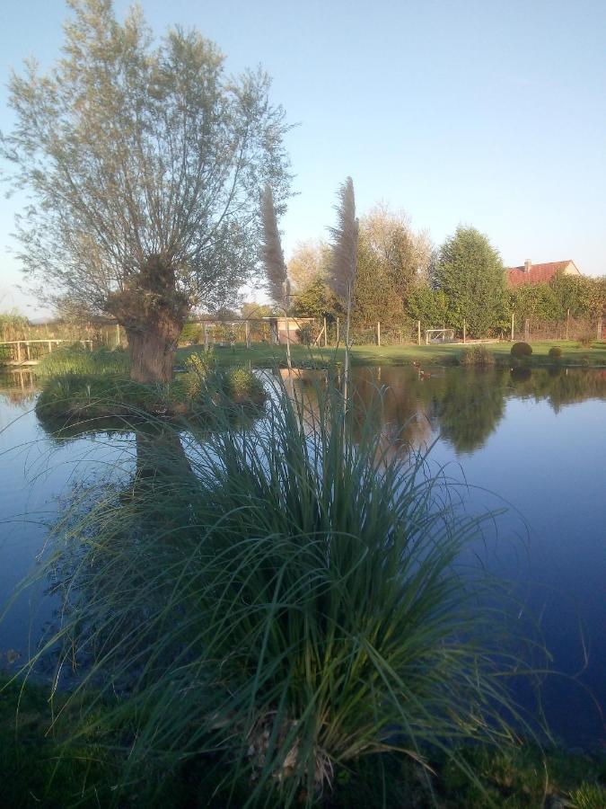 Chambre Coin Nature Fromelles エクステリア 写真