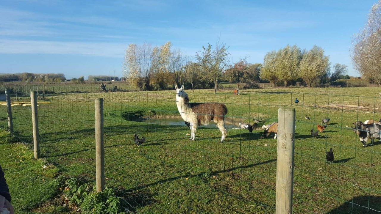 Chambre Coin Nature Fromelles エクステリア 写真